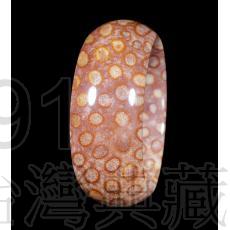 1491珊瑚玉.台灣典藏_手鐲(M97-046)
