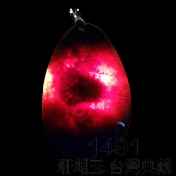 1491珊瑚玉.台灣典藏吊墜_G99996