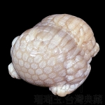 1491珊瑚玉.台灣典藏_擺件(M36-996)